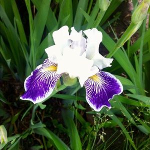 Meet your Posher, Meghan